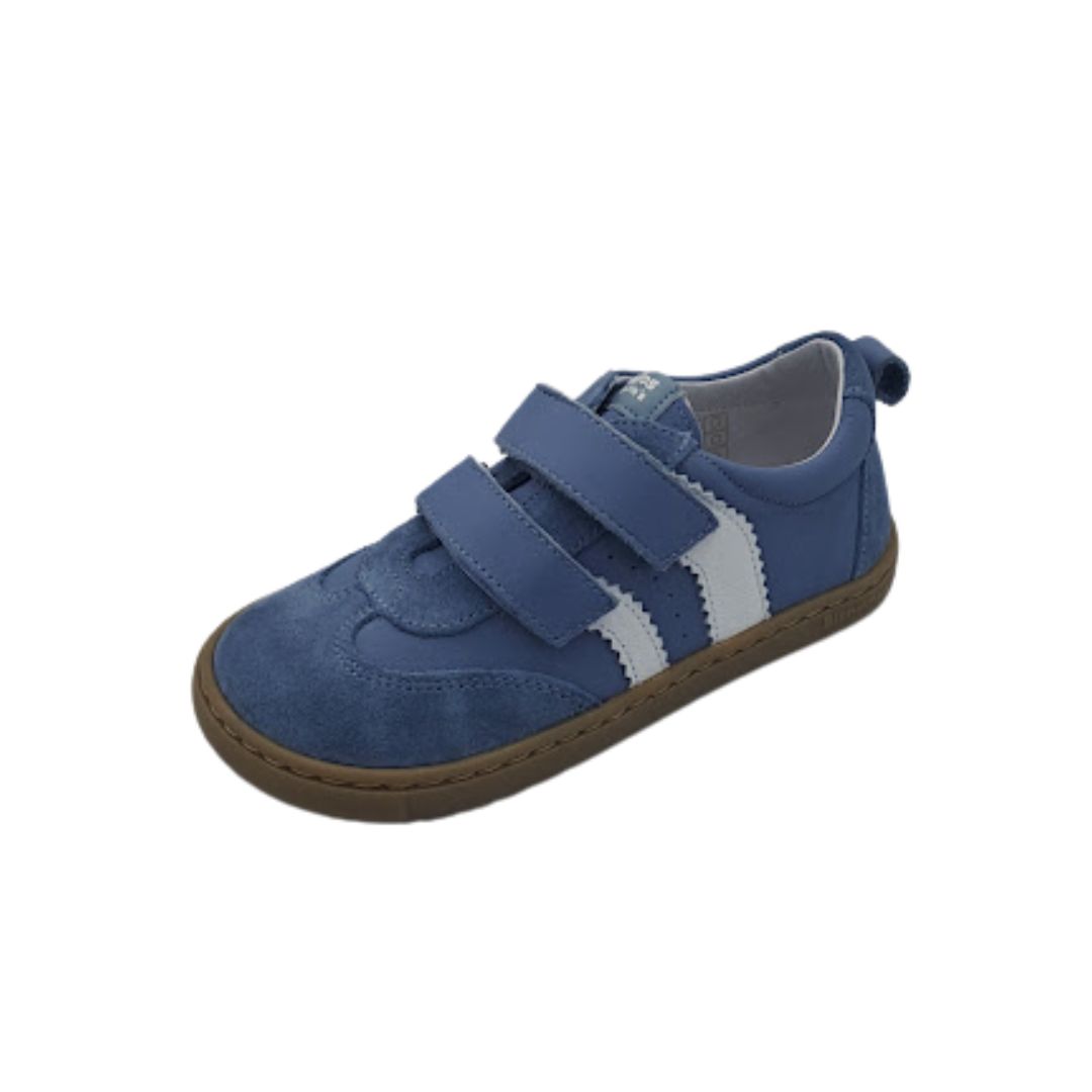 Delfín azul
