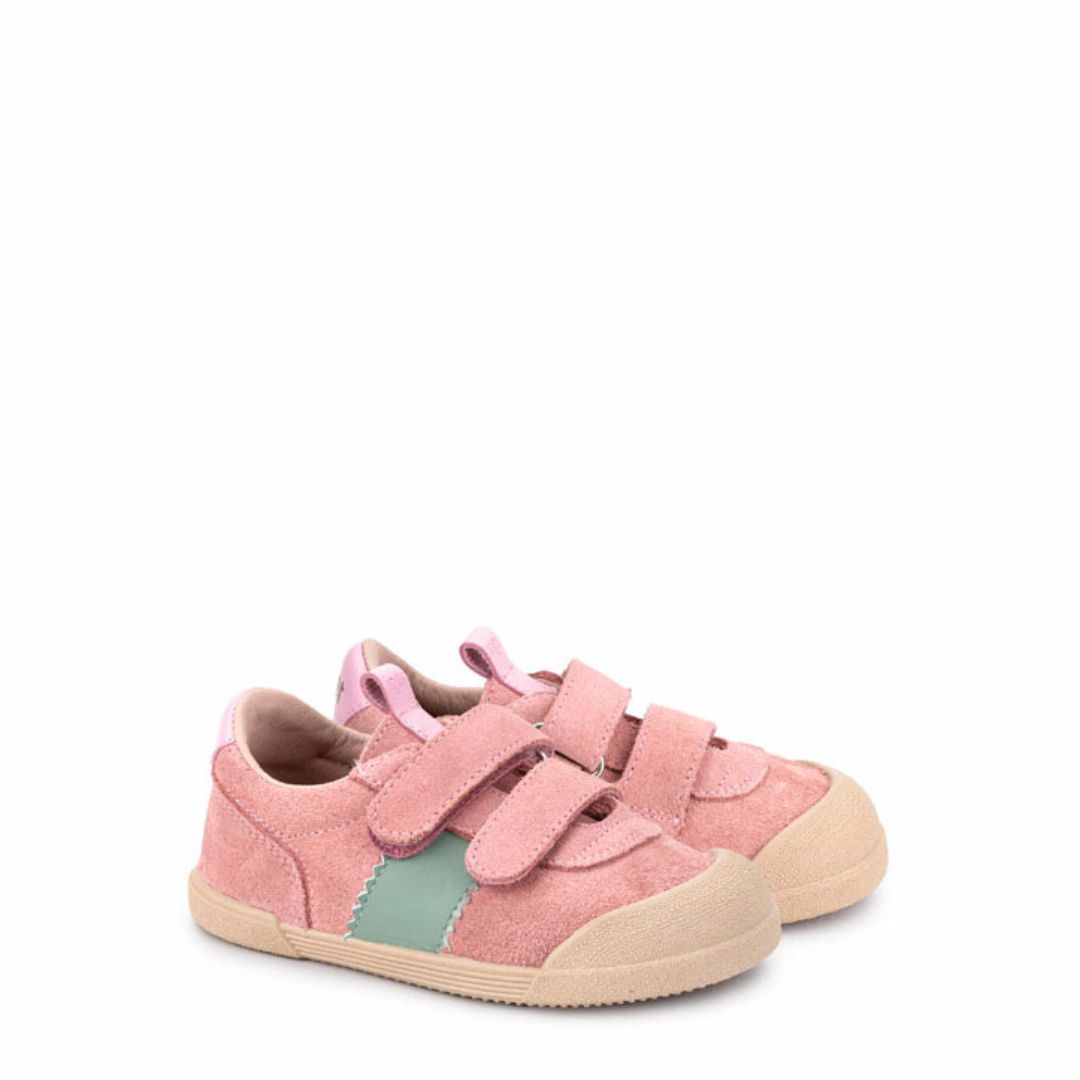 BERLIN ROSA 1