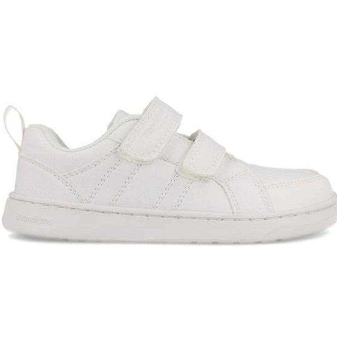 ANETO BLANCO